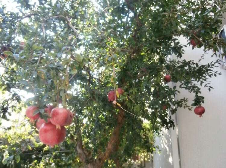 پانسیون Apartments Song