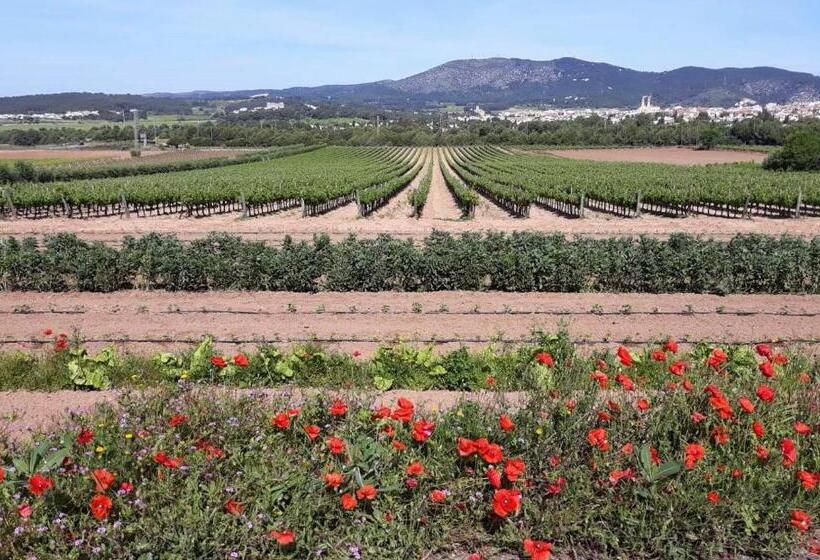 تختخواب و صبحانه Little Vine