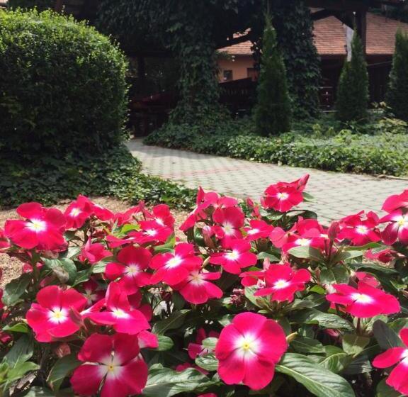 住宿加早餐  Szépasszony Fogadó