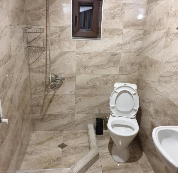 پانسیون The Grand Hotel Bakuriani