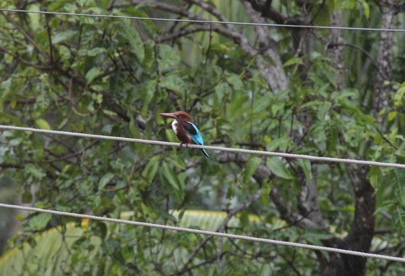 住宿加早餐  Bird S Nest By Natures Bliss