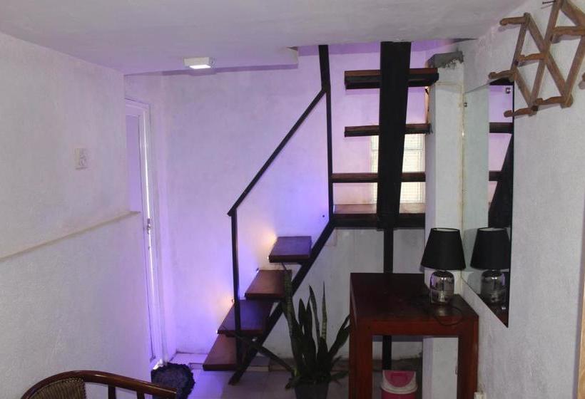 住宿加早餐  Bird S Nest By Natures Bliss