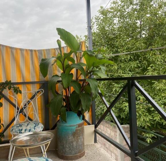پانسیون Gallery Guesthouse