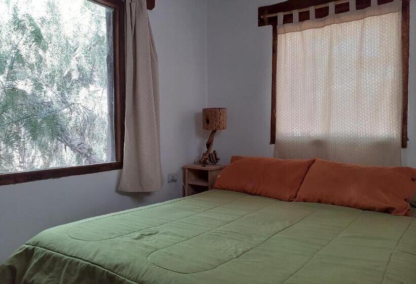 بنسيون La Casa De Violeta