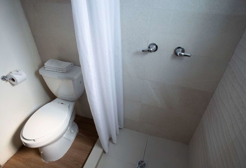 Fotos del hotel Best Western Centro Monterrey:  9