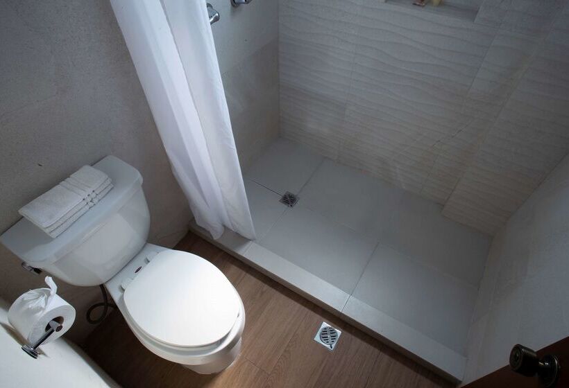 Fotos del hotel Best Western Centro Monterrey:  10