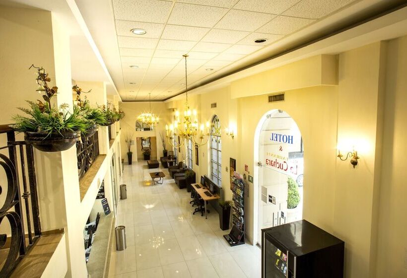 Fotos del hotel Best Western Centro Monterrey:  27