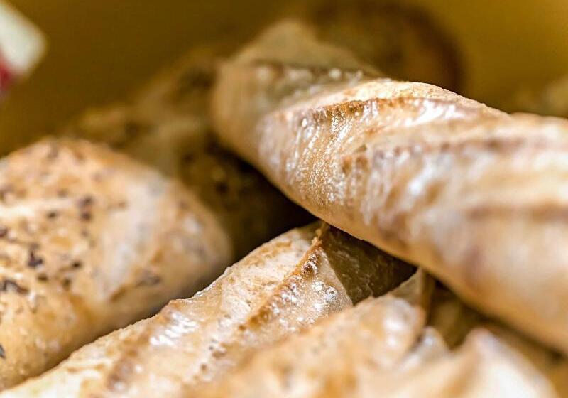 هتل Ibis Budget Strasbourg Sud Illkirch