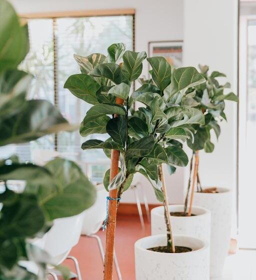 هتل Ibis Newcastle