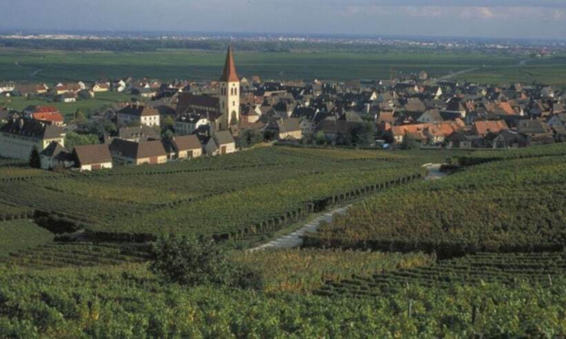 هتل Ibis Strasbourg Sud La Vigie