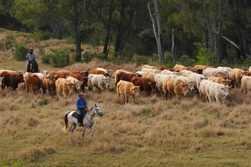 Отель Le Méridien Ile Des Pins