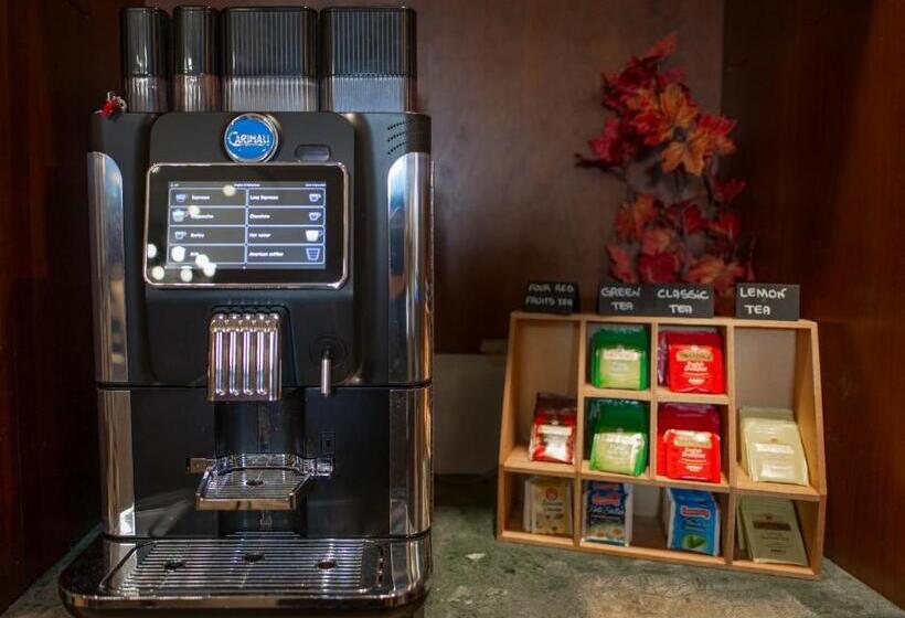 Fotos del hotel Andreotti:  38