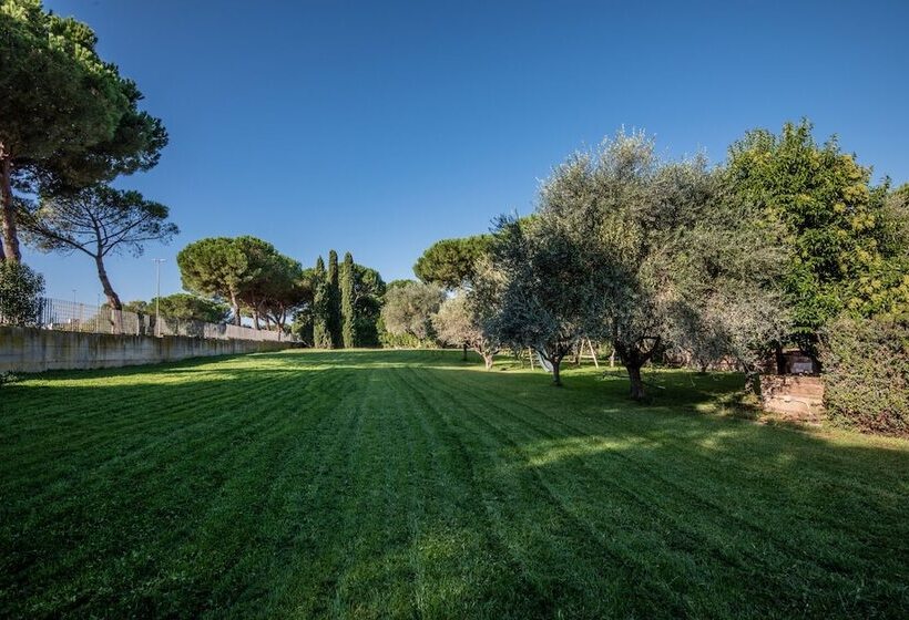 Fotos del hotel Petra:  10