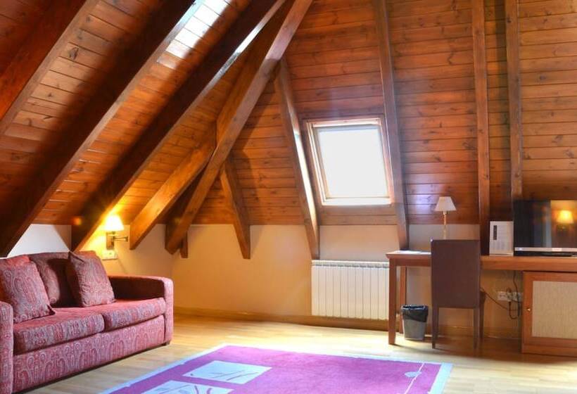 Fotos del hotel Spa Acevi Val D’aran:  12