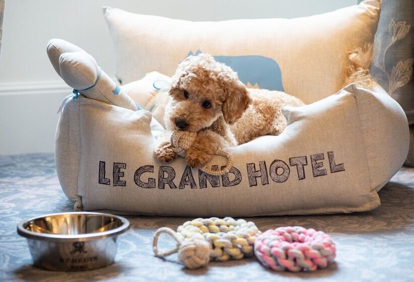 Fotos del hotel The St. Regis Rome:  57