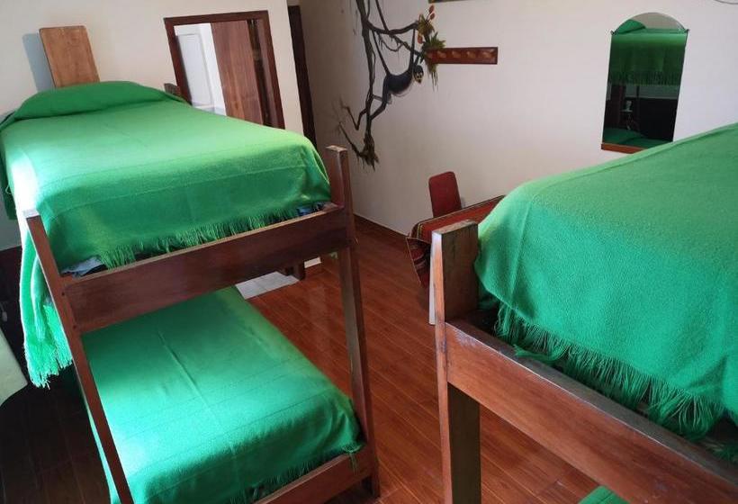 هاستل Hostal Chimenea