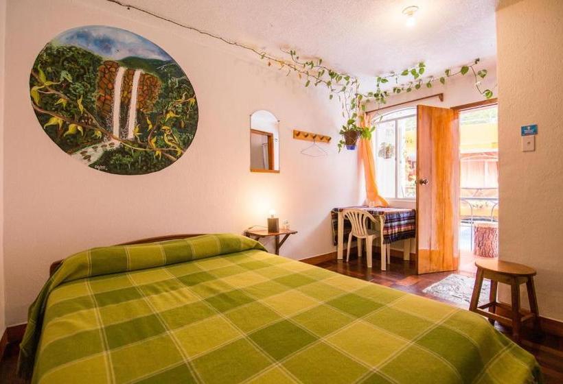 هاستل Hostal Chimenea