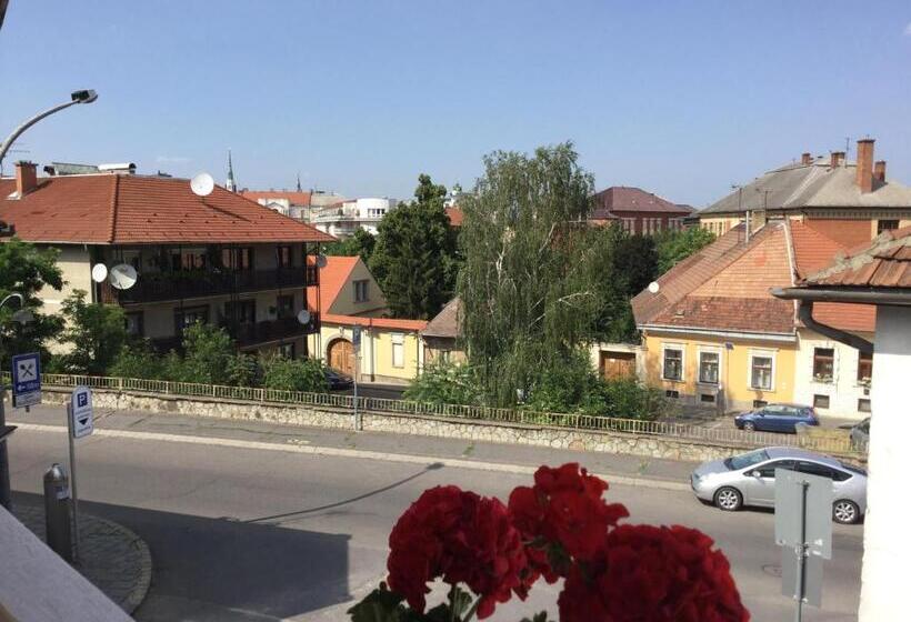 پانسیون Avas Apartman