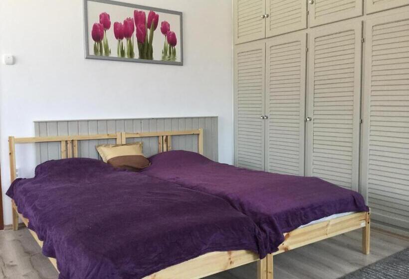 پانسیون Avas Apartman
