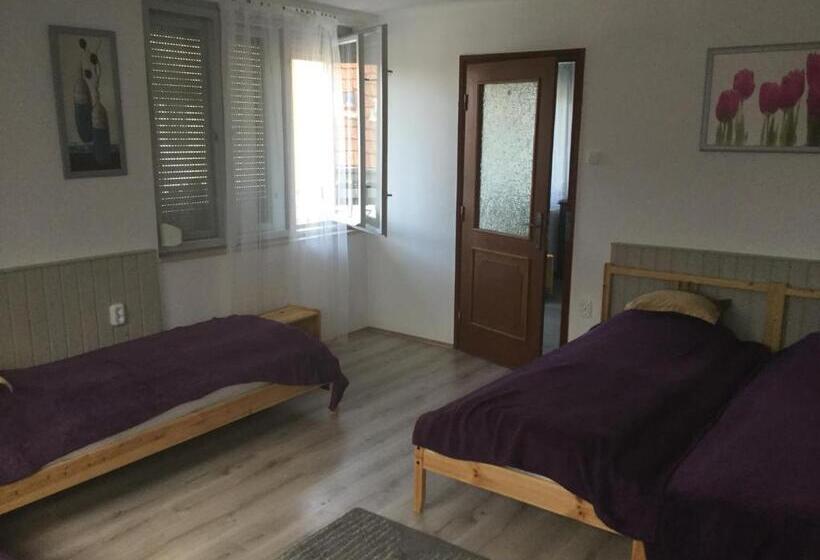 پانسیون Avas Apartman