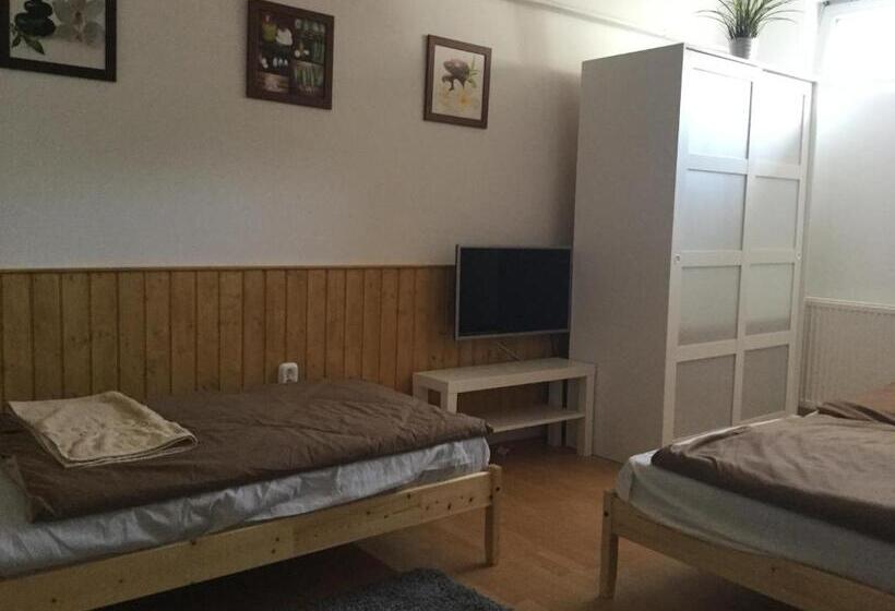 پانسیون Avas Apartman