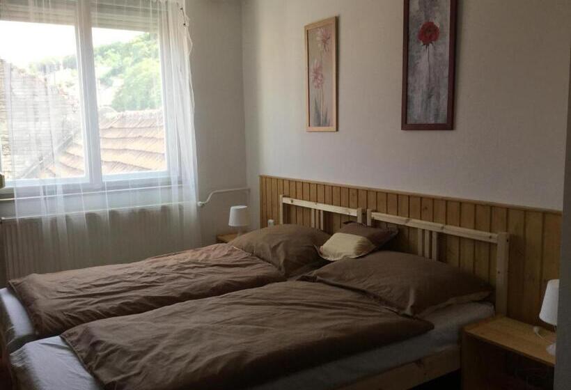پانسیون Avas Apartman