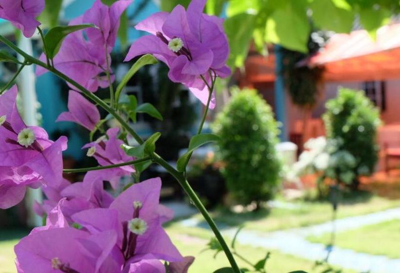 پانسیون Blue Paradise Residence