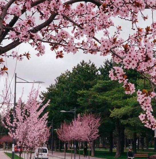 פנסיון Guest House People