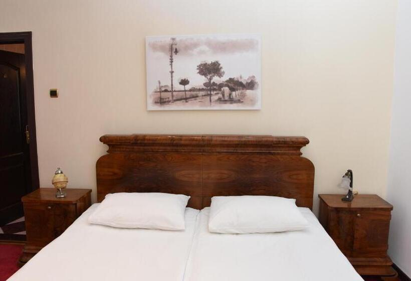 پانسیون Guest House Vila Lujza