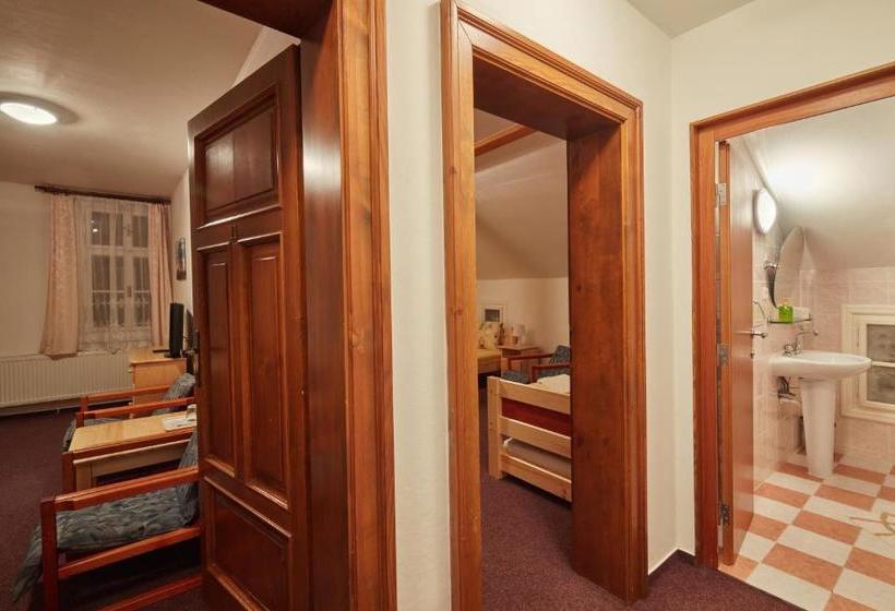 پانسیون Penzion Flora