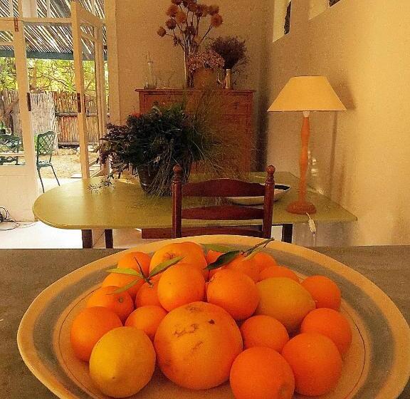 Пансион The Olive Thrush Cottage