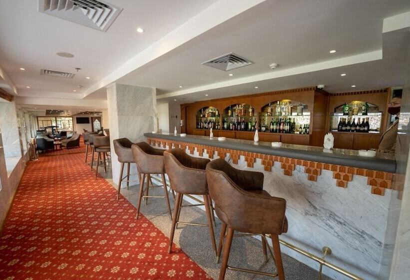 Fotos del hotel Baron  Cairo Heliopolis:  23