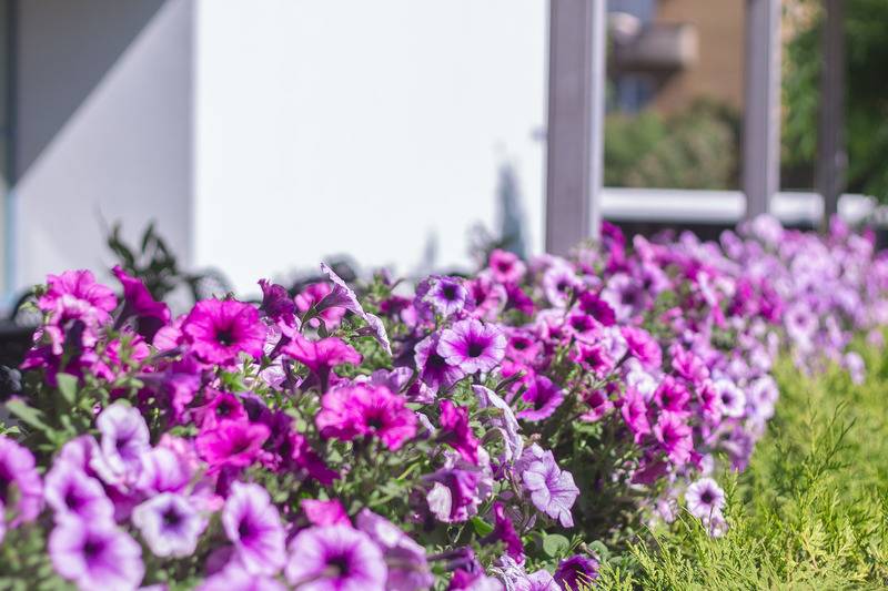 Fotos del hotel Bellevue Park  Riga With Free Parking:  74