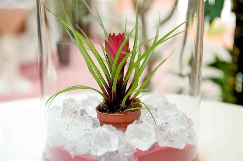 Fotos del hotel Mercure Roma West:  42