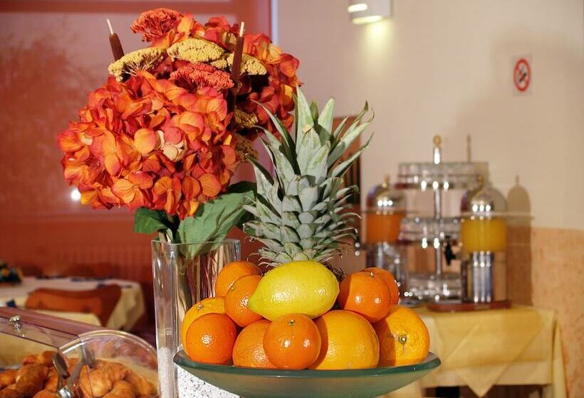 Fotos del hotel Meridiana:  27