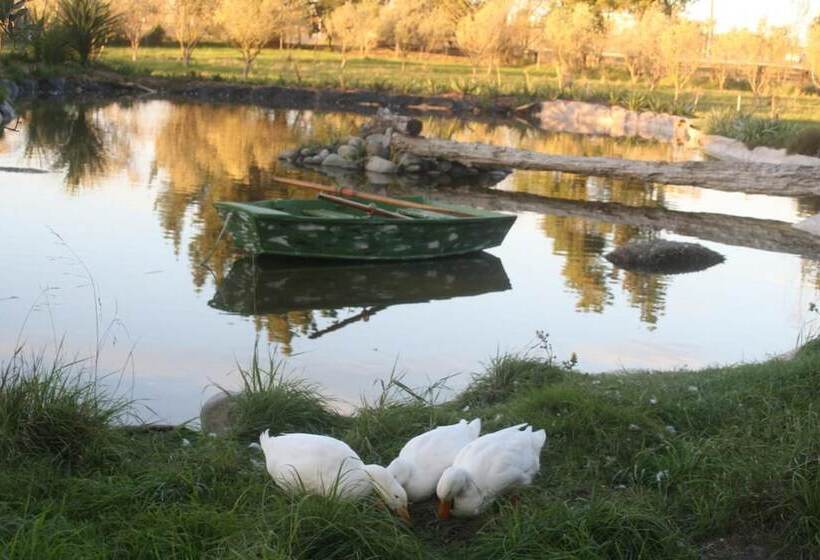 هتل The Peppertree Luxury Accommodation