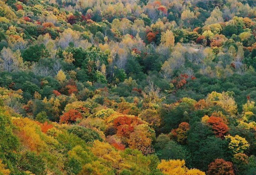 渡假胜地  Vignette Collection The Windsor Hotel Toya, An Ihg