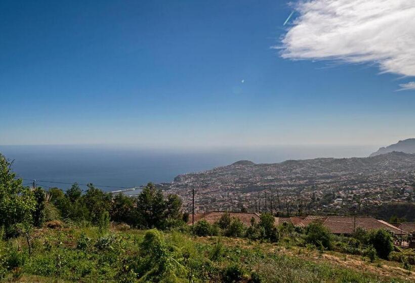 Fotos del hotel Quinta Devónia By An Island Apart:  46