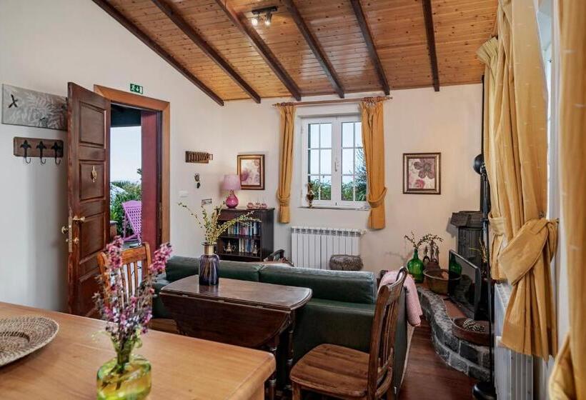 Fotos del hotel Quinta Devónia By An Island Apart:  32