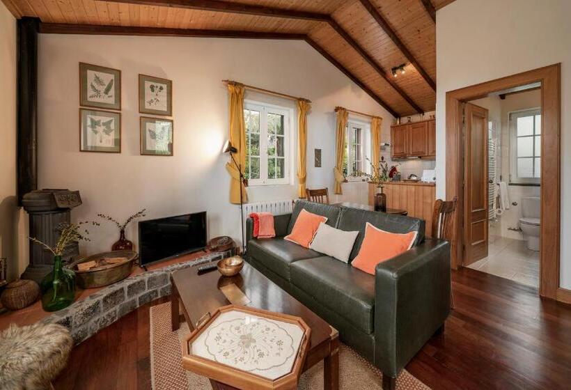 Fotos del hotel Quinta Devónia By An Island Apart:  16