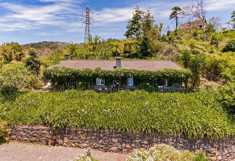 Fotos del hotel Quinta Devónia By An Island Apart:  22