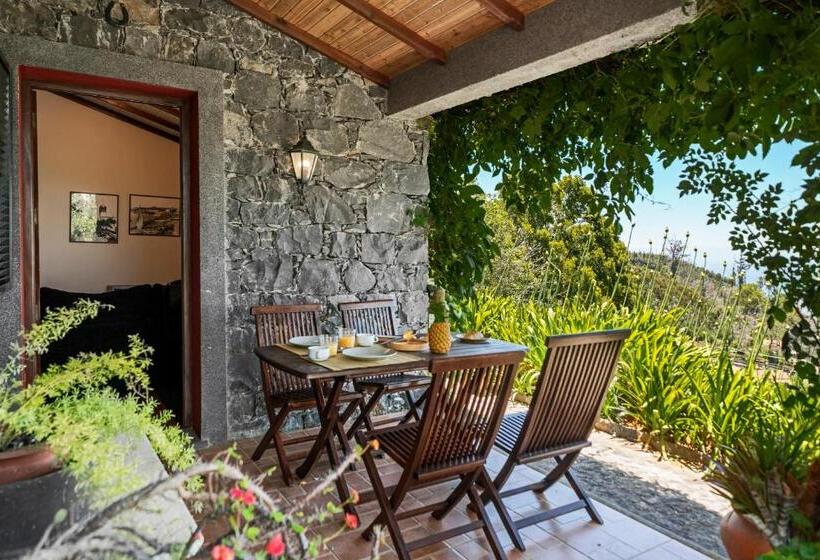 Fotos del hotel Quinta Devónia By An Island Apart:  44