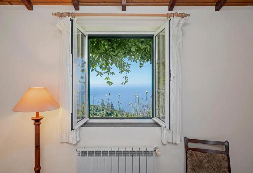 Fotos del hotel Quinta Devónia By An Island Apart:  33