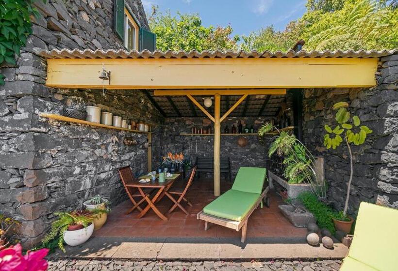 Fotos del hotel Quinta Devónia By An Island Apart:  50