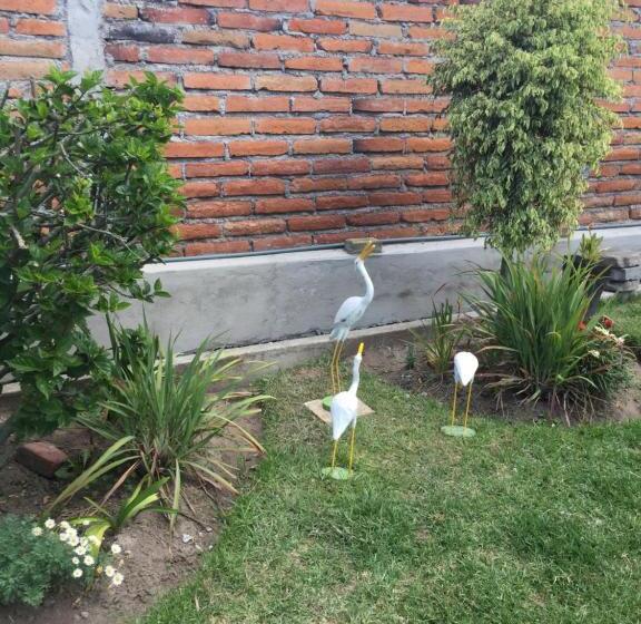 هتل Tababela Airport B&b