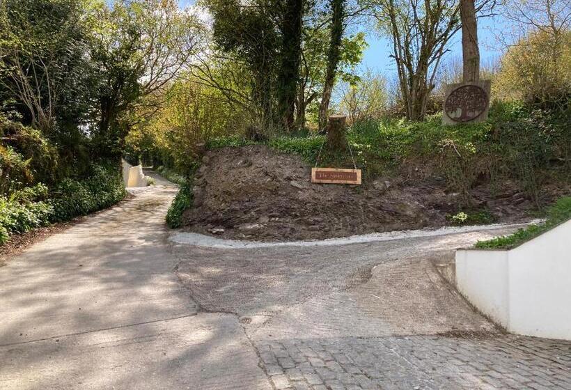 مبيت وإفطار The Sanctuary Cornwall