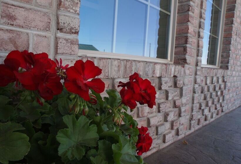 هتل Cb&m Executive Suites