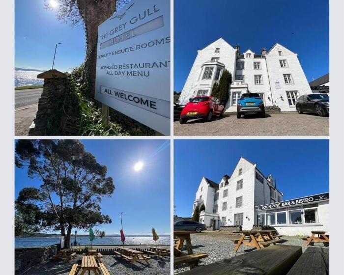 فندق The Grey Gull
