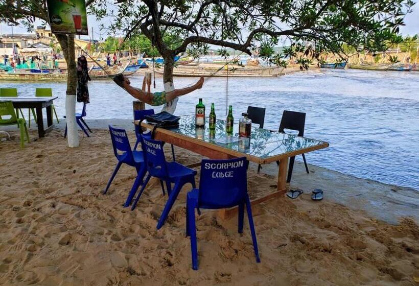 ユースホステル Scorpion Hill Lodge