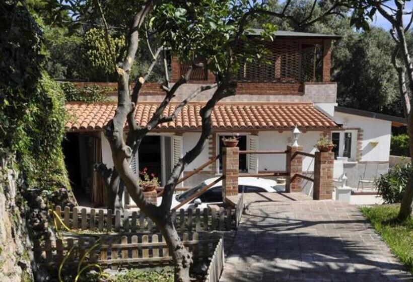 تختخواب و صبحانه Small Paradise Palermo